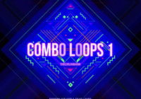 Dynasty Loops Combo Loops WAV