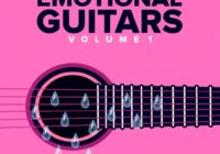 DiyMusicBiz Emotions Guitar SoundPack Vol 1 WAV