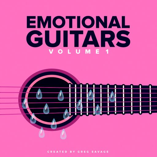 DiyMusicBiz Emotions Guitar SoundPack Vol 1 WAV