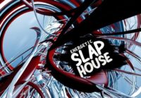 Energetic Slap House Samplepack WAV MIDI PRESETS