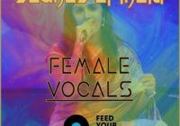 Feed Your Soul Music Sounds Of India Female Vocals WAV