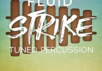 Fluid Strike: Tuned Percussion KONTAKT