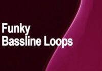 AudioFriend Funky Bassline Loops WAV