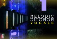 HQO Melodic Robotic Vocals 1 WAV