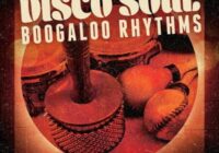 Organic Loops Disco Soul & Boogaloo Rhythms WAV