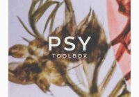 Psy Toolbox | A 2.9GB Bolt of Psy Lightening! [WAV]