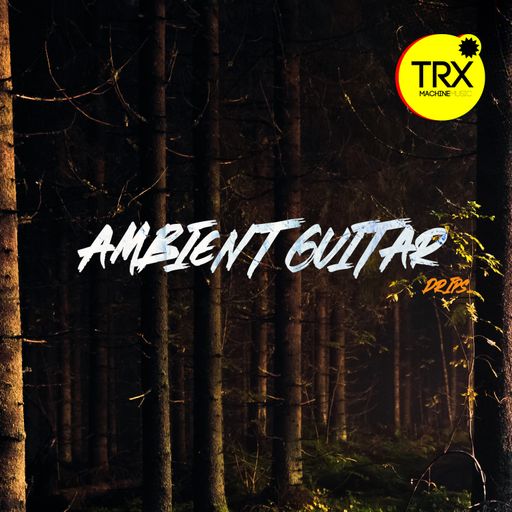 TRX Machinemusic Ambient Guitar Drips WAV