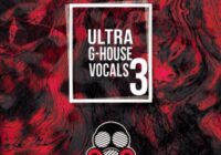 Vandalism Ultra G-House Vocals 3 WAV