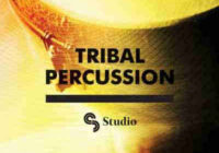 SM Studios Tribal Percussion WAV REX2 AIFF