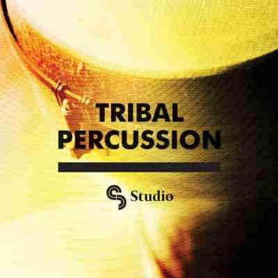 SM Studios Tribal Percussion WAV REX2 AIFF