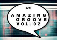 About Noise Amazing Groove Vol.02 WAV