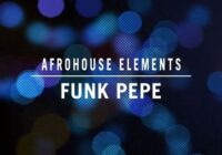 Aux Urban Afro House Elements – Funk Pepe WA