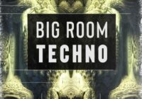 BFractal Music Big Room Techno WAV