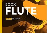 Boox: Flute: Level 2 PDF