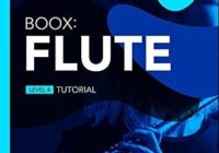 Boox: Flute: Level 4 PDF