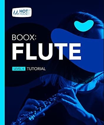 Boox: Flute: Level 4 PDF