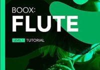 Boox: Flute PDF