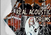 Catalyst Samples Real Acoustic Drums WAV