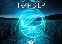 MS Chilled Trap Step MULTIFORMAT