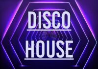 Frequency Response Audio Disco House WAV