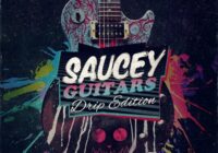 Saucey Guitars Drip Edition WAV