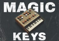 Jungle Loops Magic Keys WAV