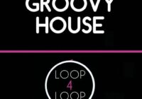 Loop 4 Loop Groovy House WAV