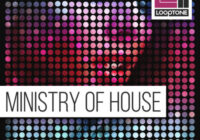 Looptone Ministry of House MULTIFORMAT