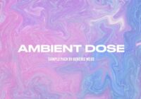 Momenta Audio Ambient Dose WAV