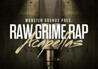 Monster Sounds Raw Grime Rap Acapellas MULTIFORMAT