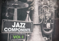 New Beard Media Jazz Components Vol 3 WAV