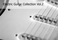 Realsamples Electric Guitar Collection Vol.2 MULTIFORMAT