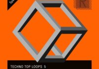 Riemann Kollektion Riemann Techno Top Loops 5 WAV