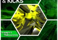 Sample Tweakers Huge Snares & Kicks WAV