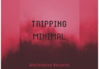 Whitenoise Records TRIPPING MINIMAL Beats WAV