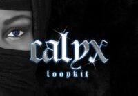 Basobeats + Icemelodies Calyx Loop Kit MP3