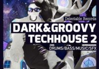 Delectable Records Dark & Groovy TechHouse 02 MULTIFORMAT