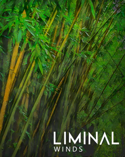 Crocus Soundware LIMINAL Winds KONTAKT