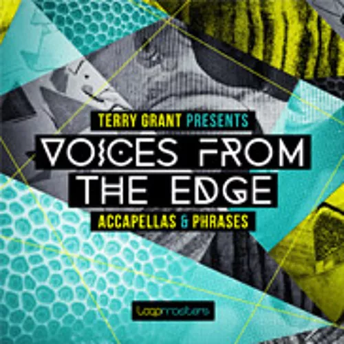 Terry Grant Voices From The Edge AIFF