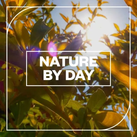 Blastwave FX Nature by Day WAV