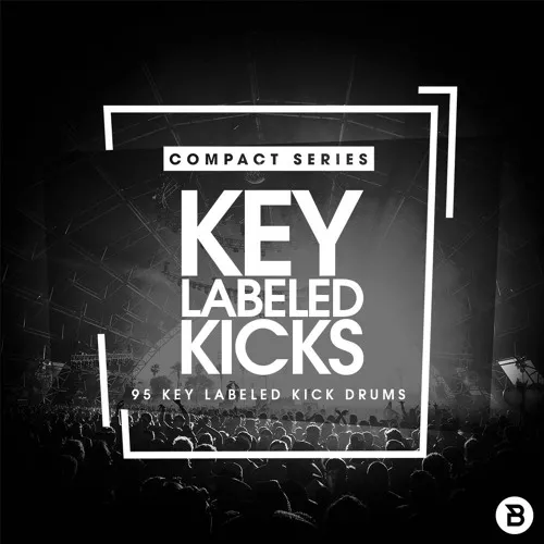 Bingoshakerz Compact Series: Key Labelled Kicks WAV