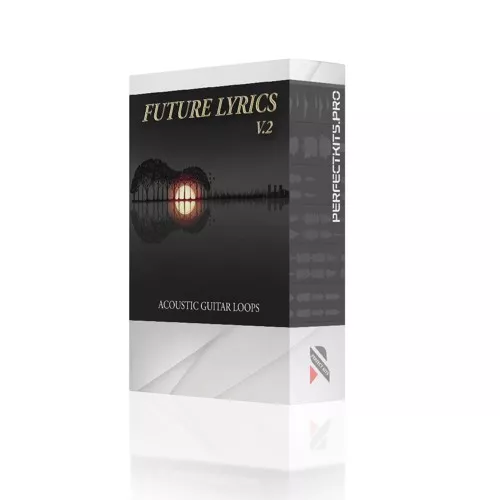 Magnetic Music Future Lyrics 2 WAV