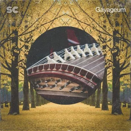 Sonic Collective Gayageum WAV