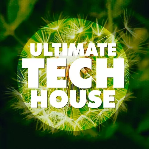 ULTIMATE TECH HOUSE WAV MIDI FXP NMSV