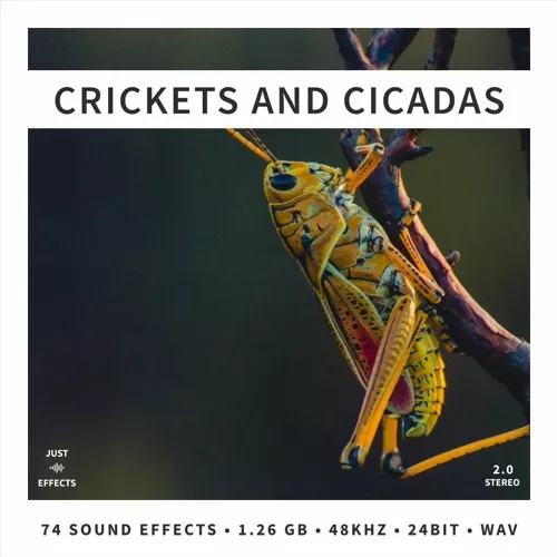 Just Sound Effects Crickets Cicadas WAV