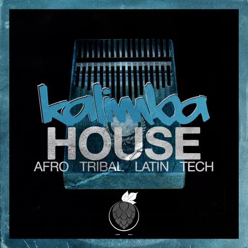 Dirty Music Kalimba House WAV