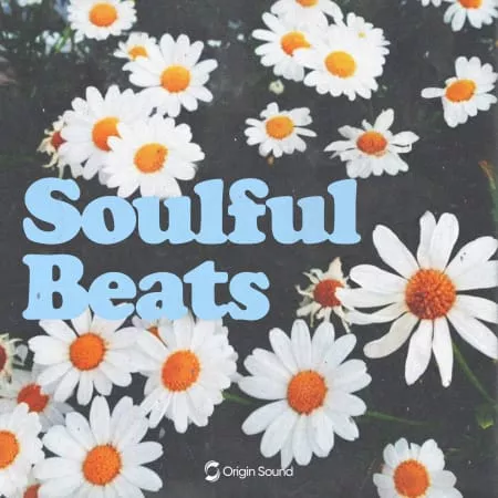 Origin Sound Soulful Beats WAV PRESETS