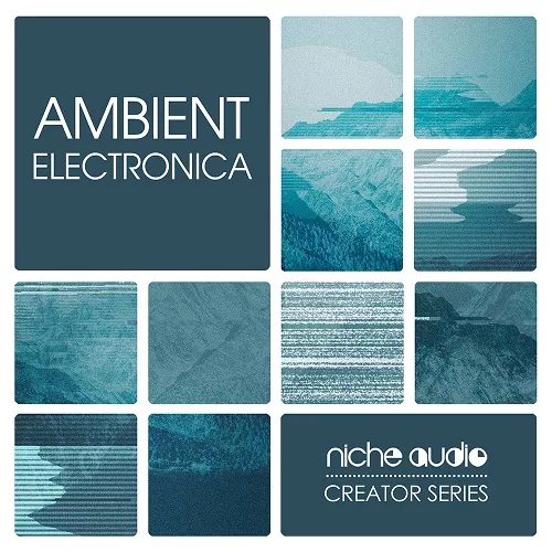 Niche Audio Ambient Electronica for Maschine