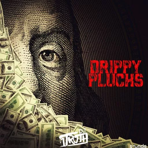 DJ 1Truth Drippy Plucks WAV