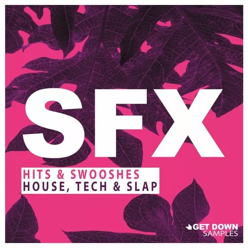 Get Down Samples SFX Vol.1 WAV
